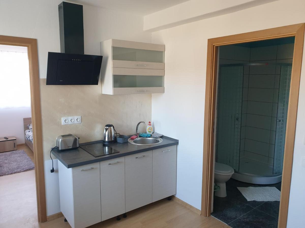 Apartment Castle Csanyi Livezeni (Mures)