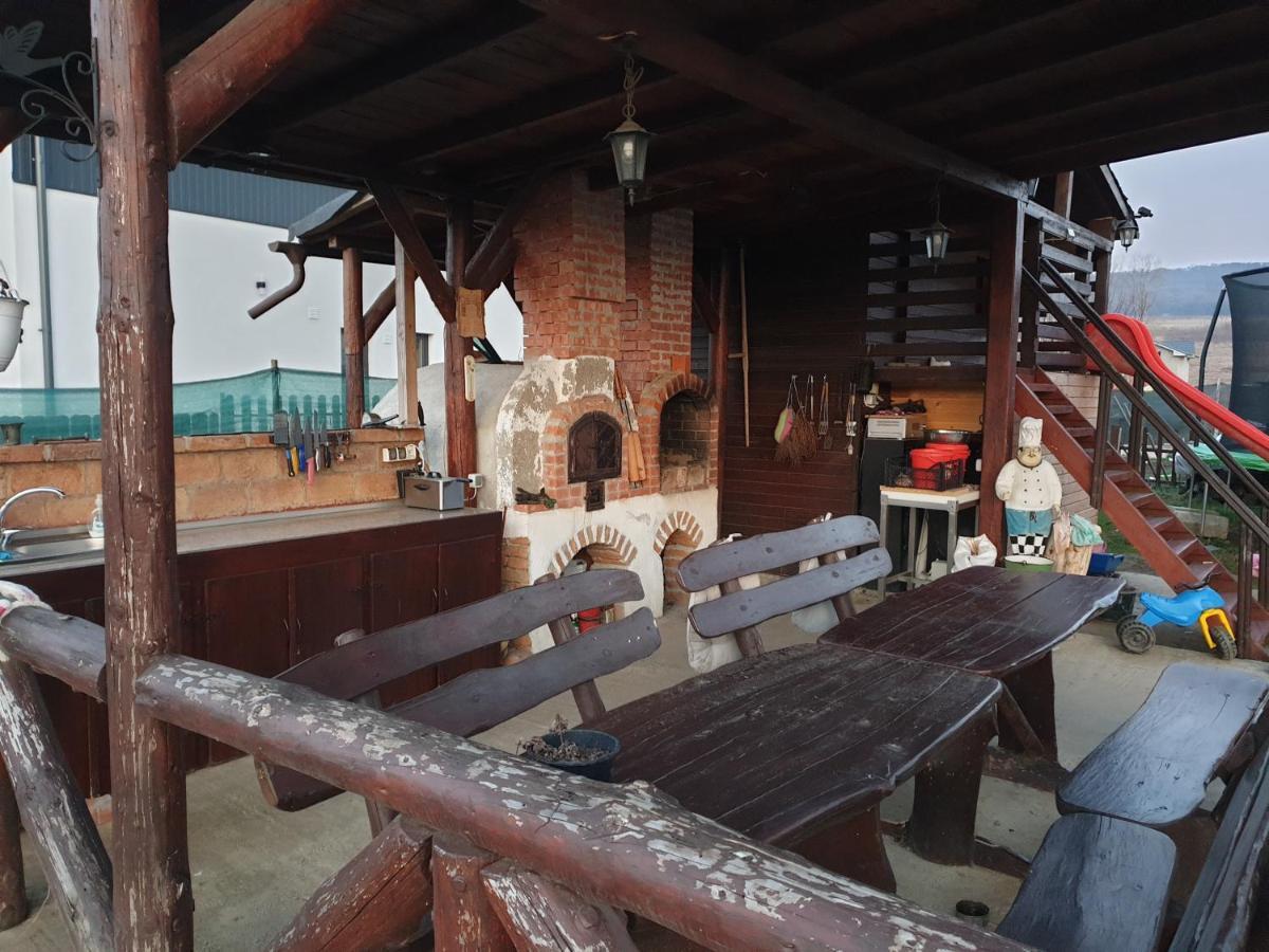 Castle Csanyi * Livezeni (Mures)