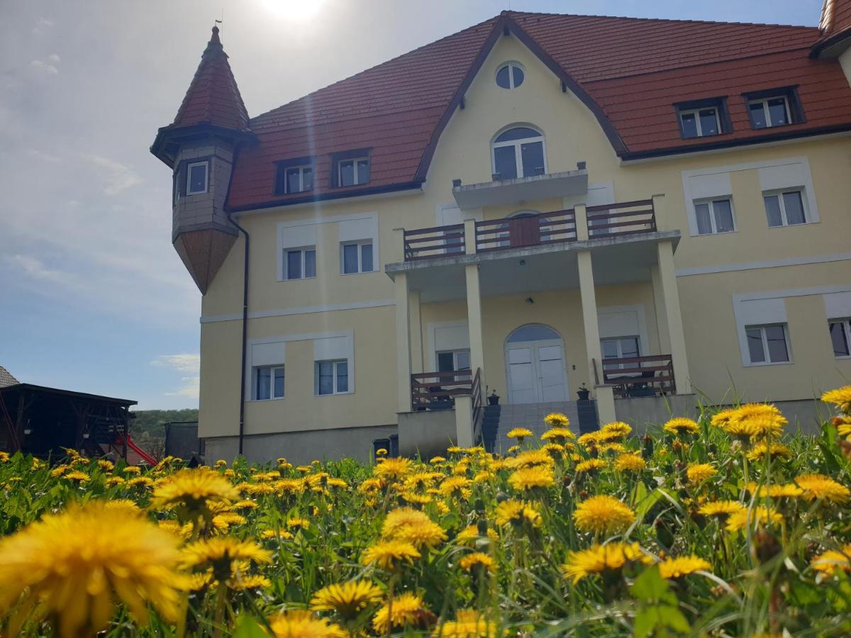 Castle Csanyi Apartment Livezeni (Mures)