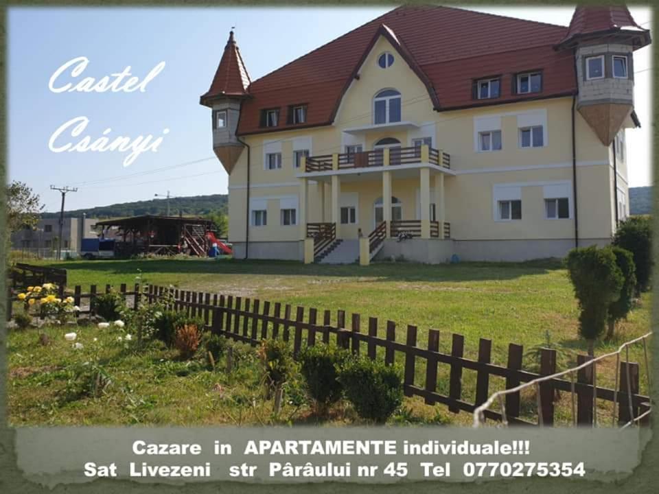 Castle Csanyi