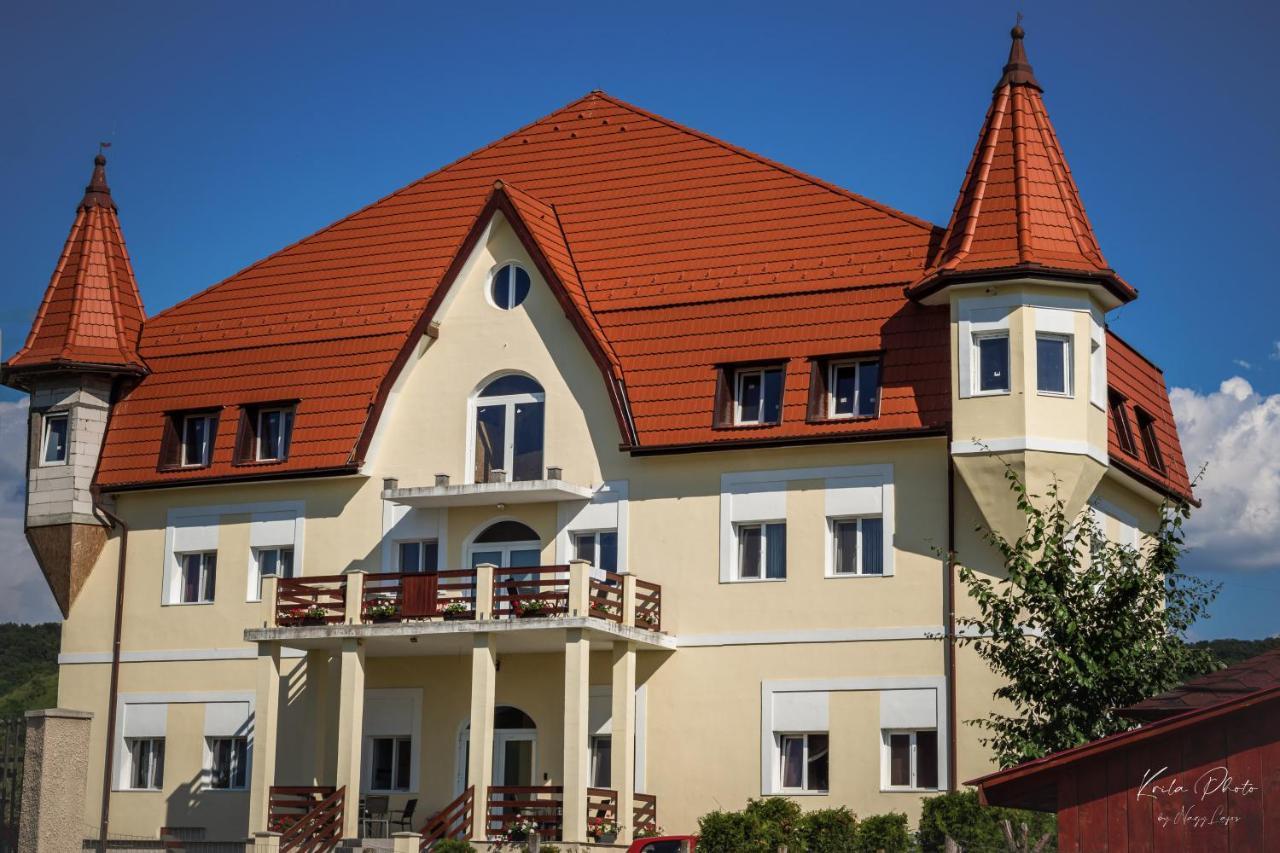 Castle Csanyi *