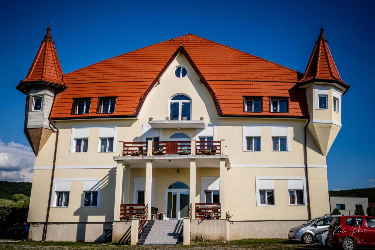Castle Csanyi * Livezeni (Mures)