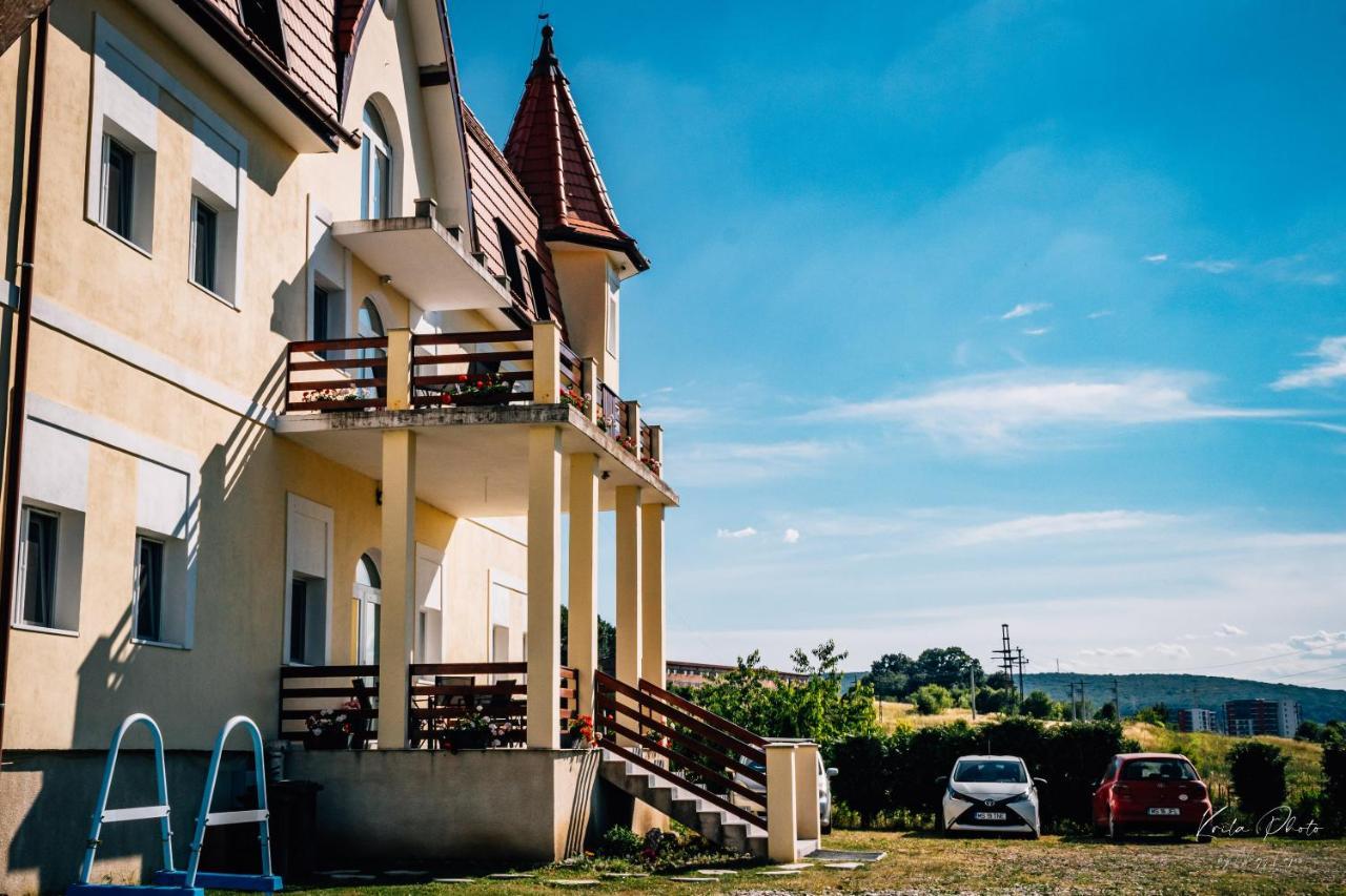 Castle Csanyi * Livezeni (Mures)