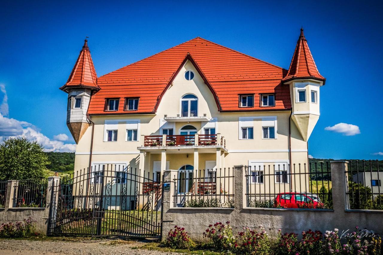 Castle Csanyi Livezeni (Mures)